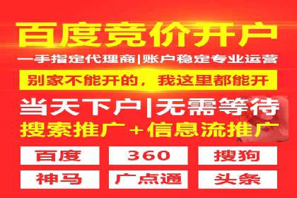 百度竞价排名服务：成功案例解析与优化策略